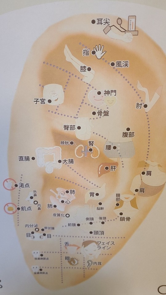 青い枕の恥